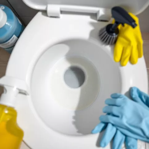 Jak Usunąć Kamień Z Dna Muszli Klozetowej